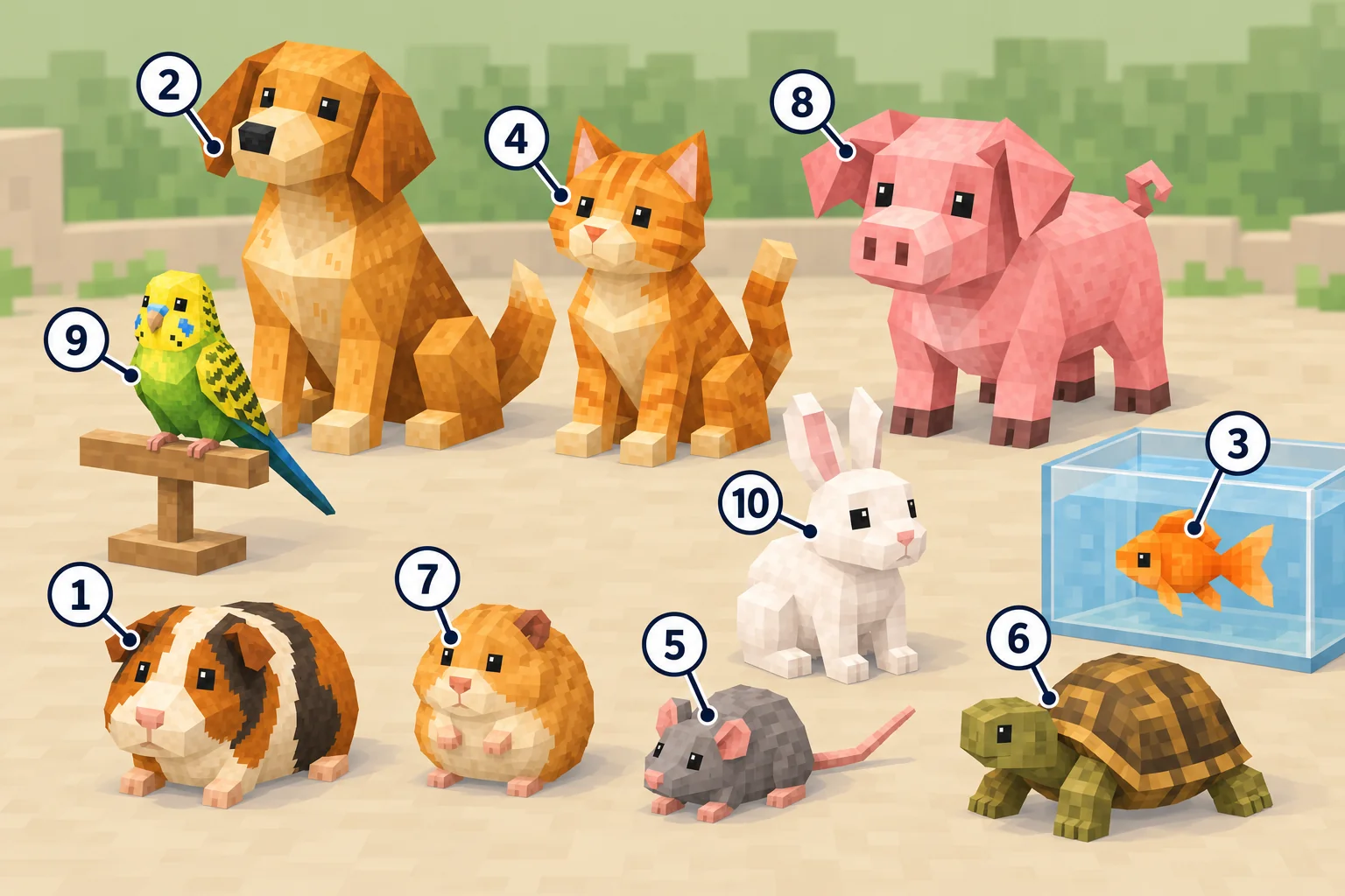 Zehn Tiere in einem Hof, jeweils mit einer Zahl markiert. Nummer 1: Meerschweinchen, weiß-braun-schwarz. Nummer 2: Hund, goldbraun. Nummer 3: Goldfisch, orange, im Aquarium. Nummer 4: Katze, orange und weiß. Nummer 5: Maus, grau. Nummer 6: Landschildkröte mit braunem Panzer. Nummer 7: Hamster, klein und goldbraun. Nummer 8: Schwein, rosa. Nummer 9: Wellensittich, grün und gelb, auf einer Sitzstange. Nummer 10: Kaninchen, weiß.